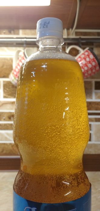 Продается Чайный гриб