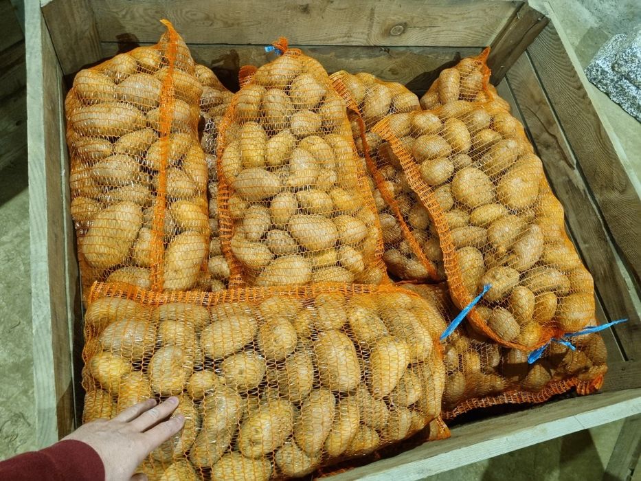 Cartof consum alb ultra Ro