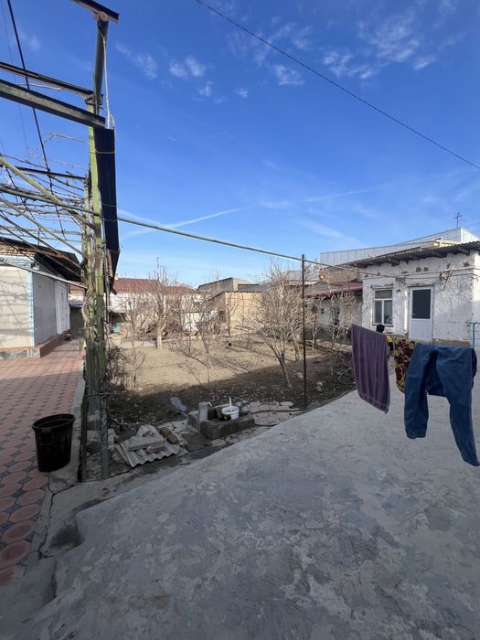 Hovli shahar urtasida 7 sutik