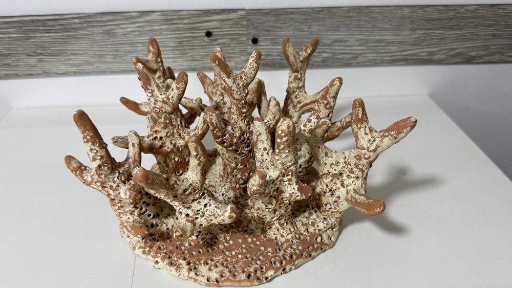 Akvarium uchun dekoratsiyalar