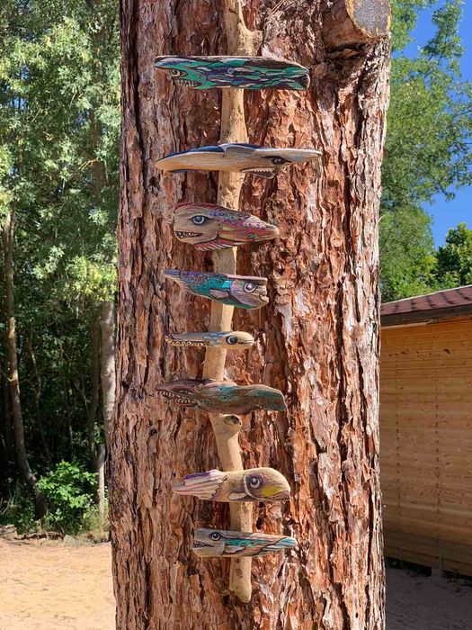 Каравана под наем "Синева", къмпинг 4 Сезона