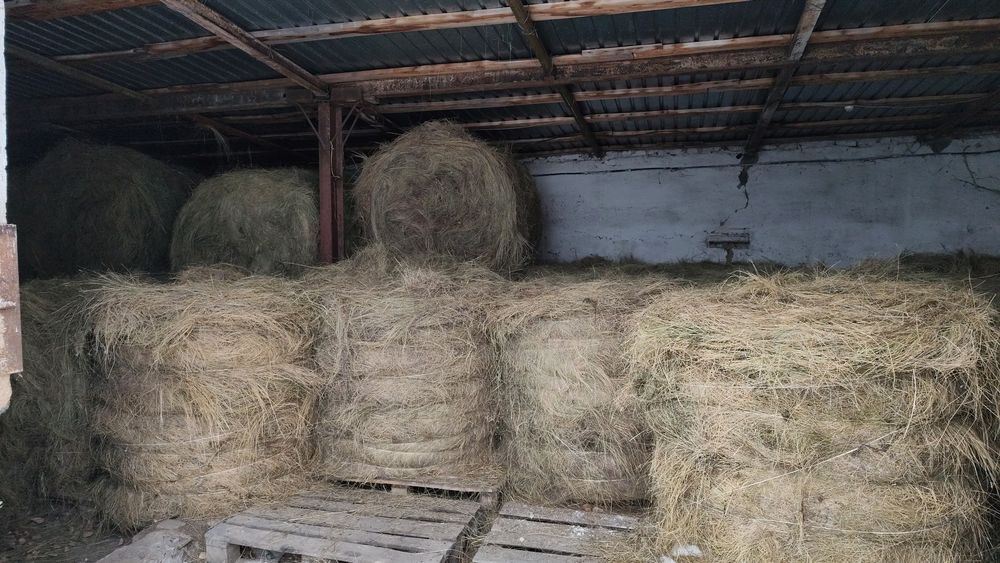 Продаётся сено в рулонах