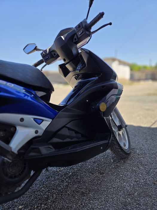 Irbis grace  150