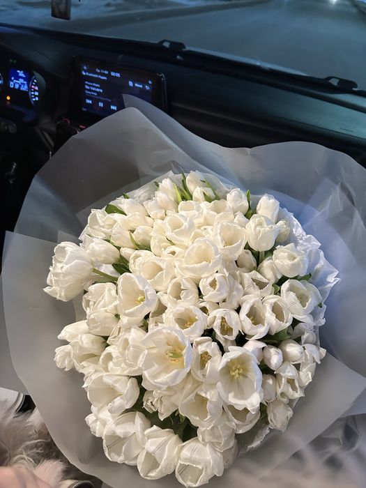 Тюльпаны 101шт, красивые