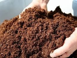 Чернозем и перегной привезем