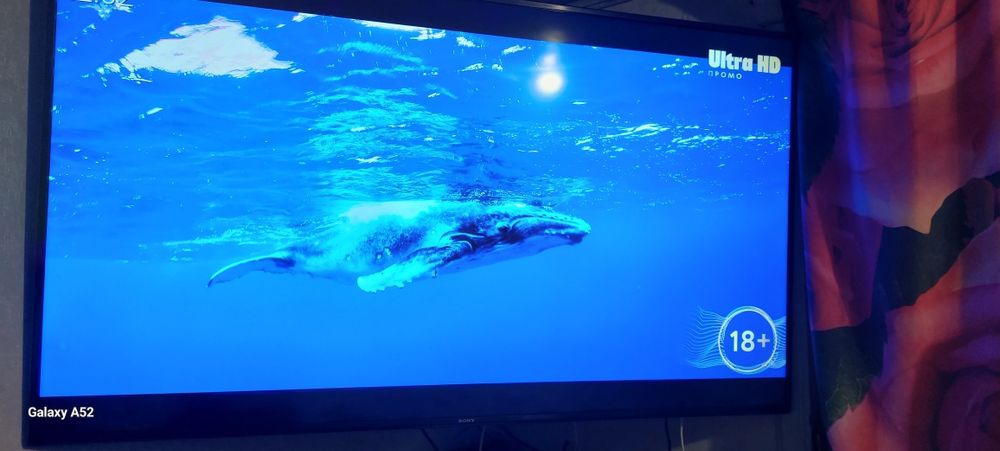 Сони телевизор бравия