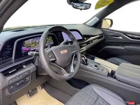 Inchirieri auto Premium