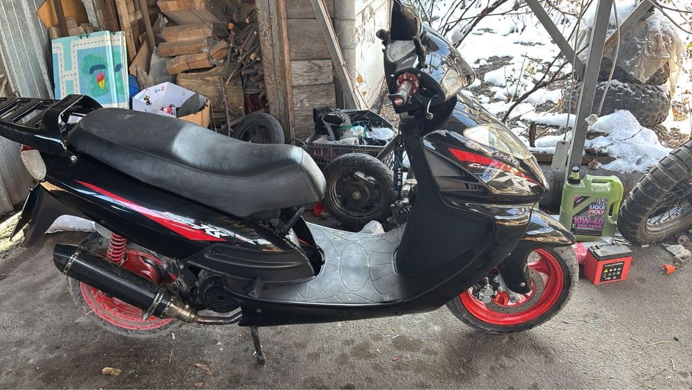 Продам феерик ратон