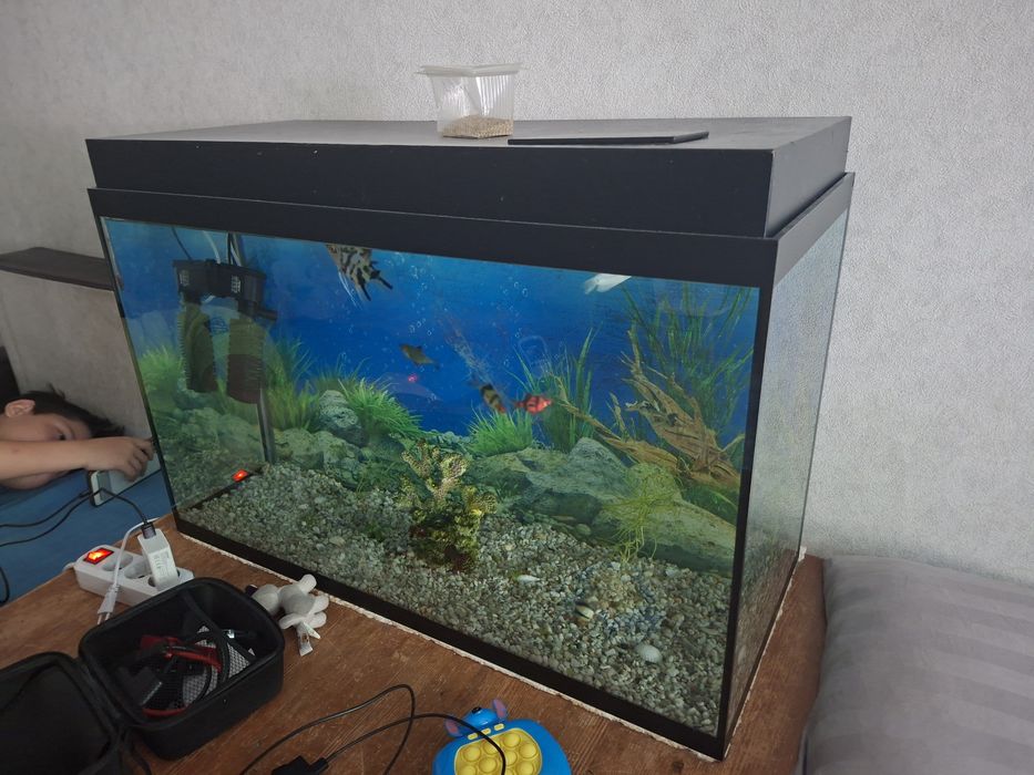 Аквариум с рыбками