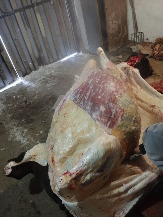 Мясо с Торғай:  Конина, Говядина.