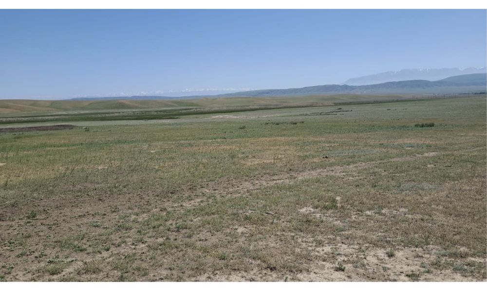 Фазенда крестянское хозяйство кашар