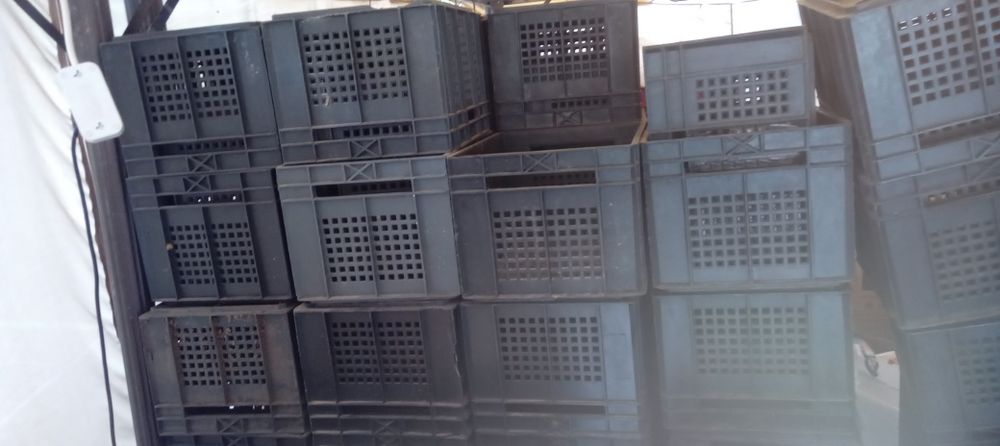 Пластиковые ящики (б/у)