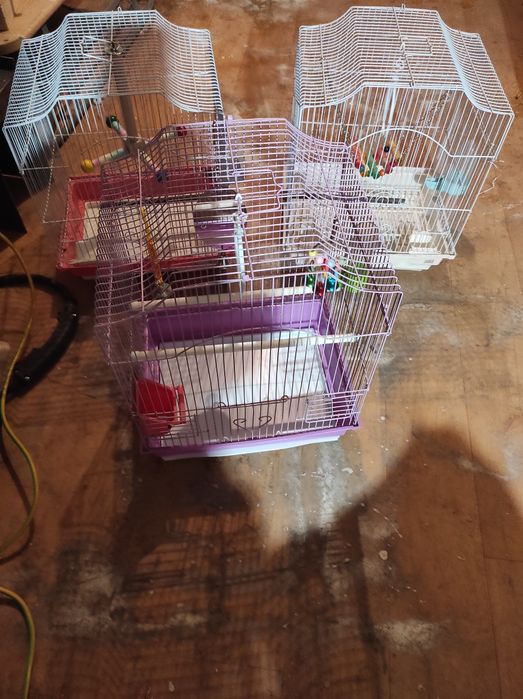 Vând cuști papagali