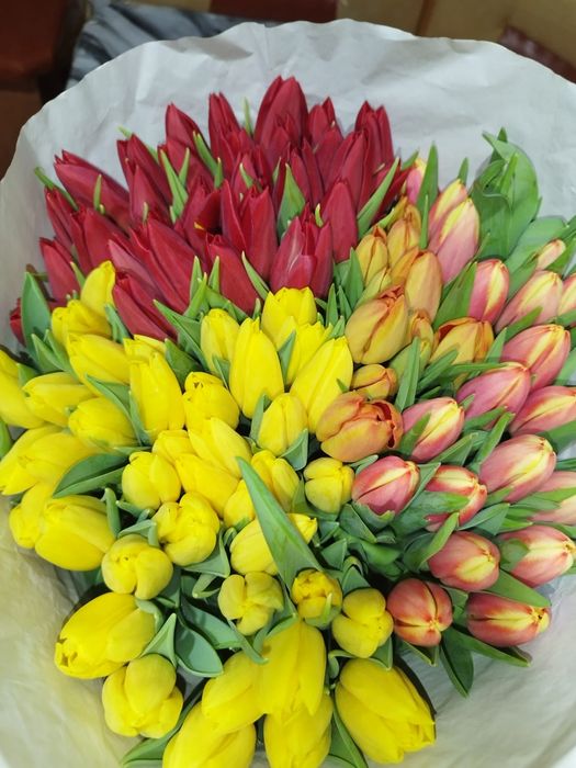 Тюльпаны на праздник