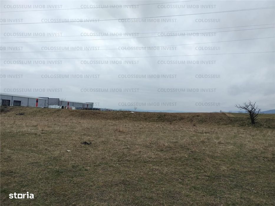 Oportunitate! Teren Industrial - Zona Darste