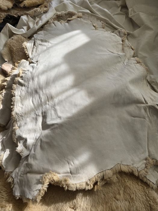 Piei de oaie și miel