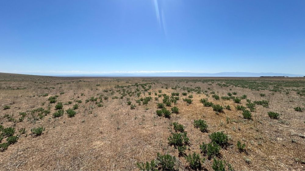 Продается участок 100 гектаров земли