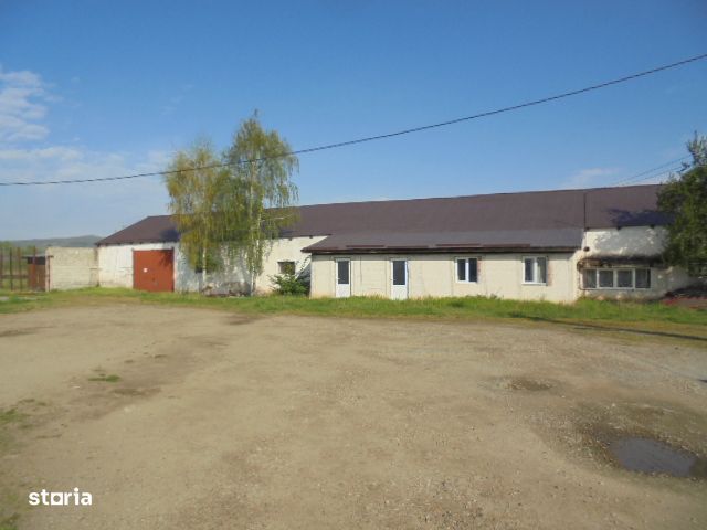 Hala / Depozit Vintu de Jos - licitație insolventa (AT)