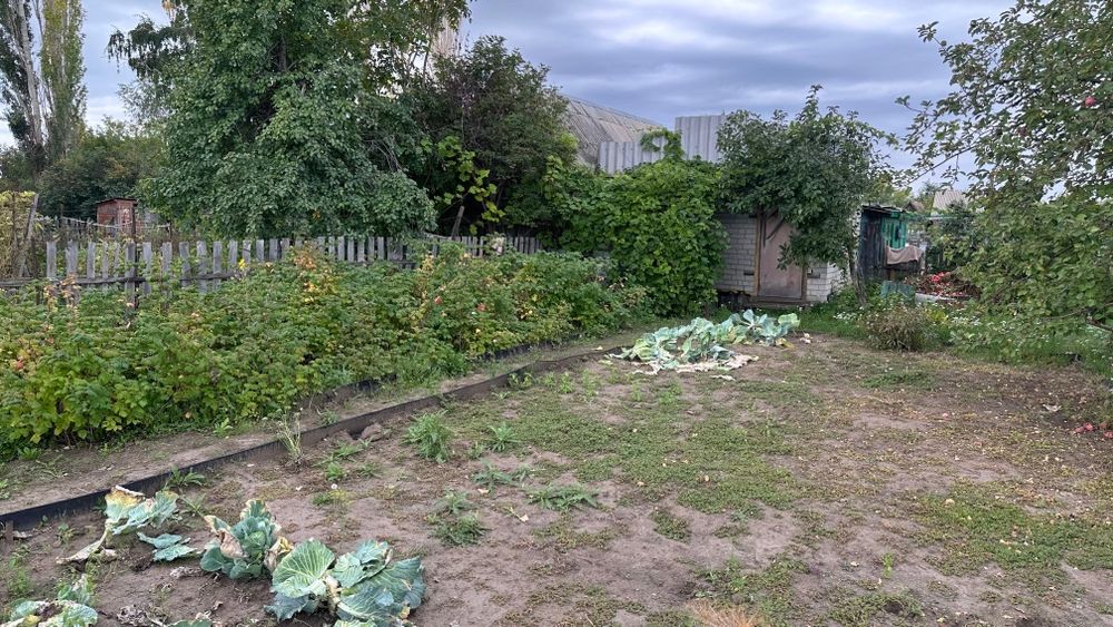 Продам дачу сад здоровье.