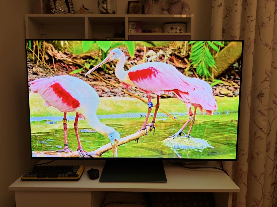 GARANTIE - Televizor SAMSUNG OLED 55S90D 138cm Smart 4K Ultra HD 100Hz