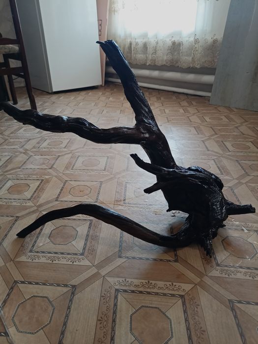 Мангра Карягала сотилади