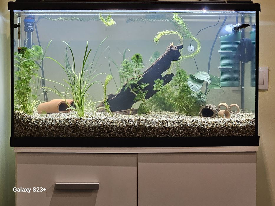 Acvariu de vanzare 450litri, 160litri,110litri cu