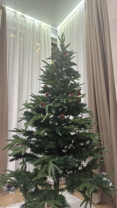 Продам ёлку 170см