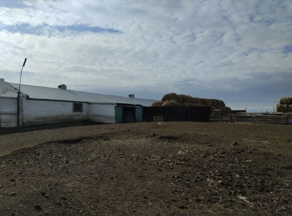 Фермерское действующее хозяйство