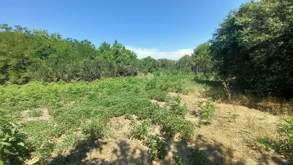 Парцел 892 кв.м в регулация