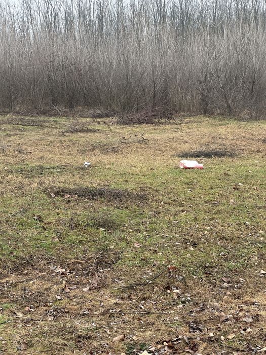 Lac de pescuit balta