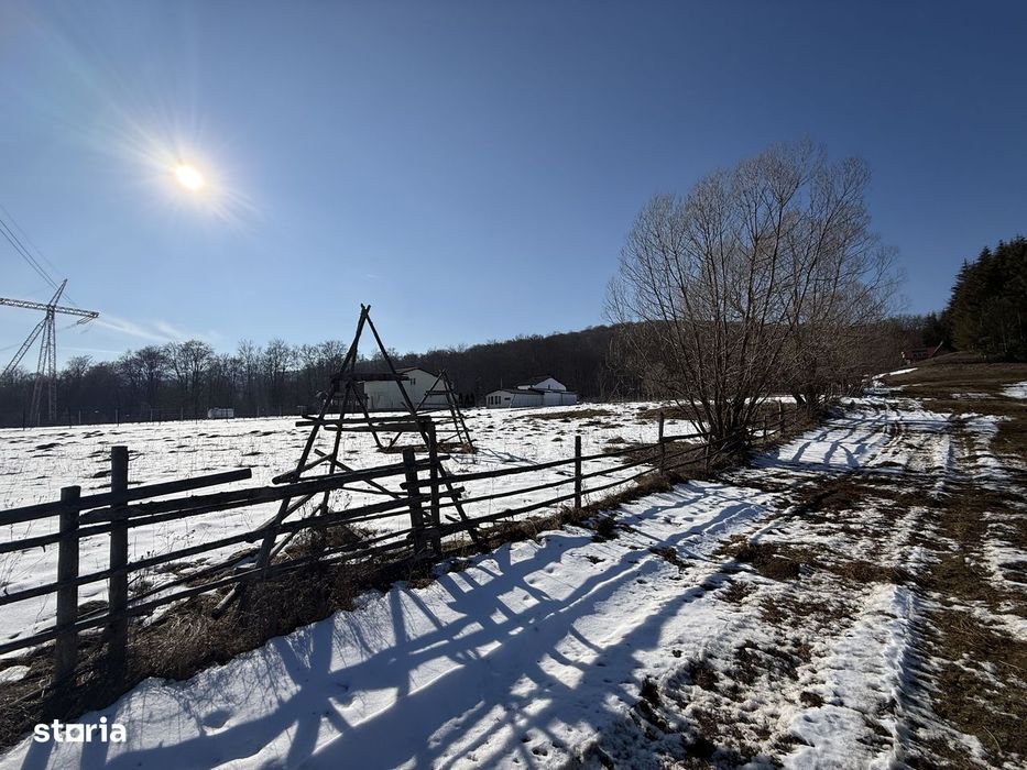Teren intravilan 4521mp lângă pădure-valea Doftanei -Calea Brasovului