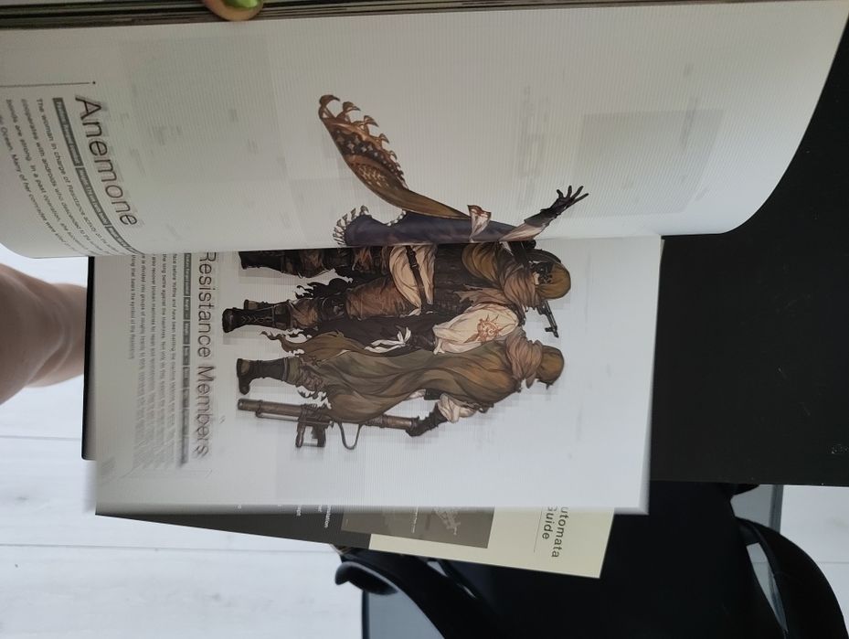 Nier world guide art book