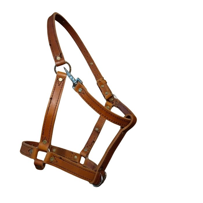 Палдъм, кантарма, поводи, колаци за кон от естествена кожа