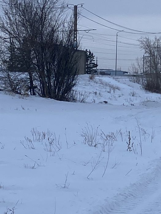 Продам дачу  сад здорове.