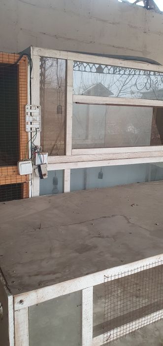 Брудер, катак жужа бокиш учун махсус уй.