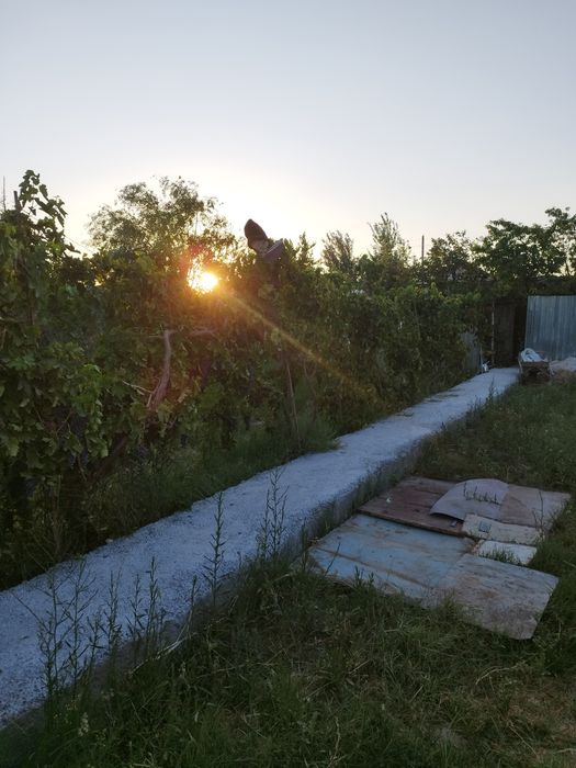 Dacha sotiladi 6 sotik