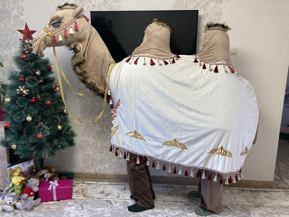 Прокат костюм верблюда