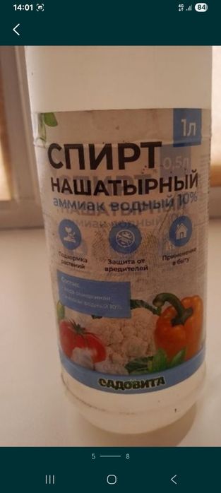 Продам семена укропа