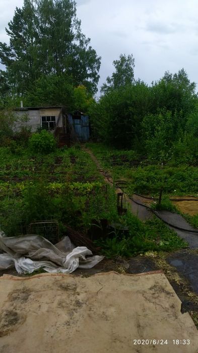 Продам дачу в обществе ,,борки".