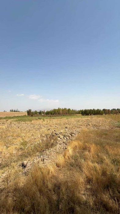 Продаётся земля 3,2 гектара в Бекабаде. Бекободда ер 3,2 гектар