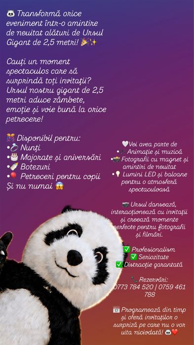 Cheama Ursul Gigant  la evenientul / petrecerea ta !