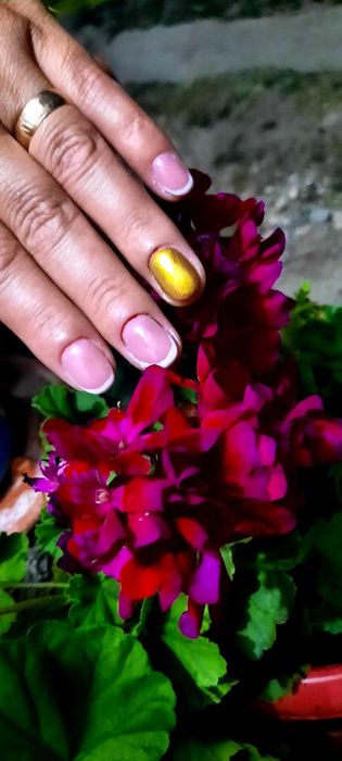 Manichiură și pedichiură