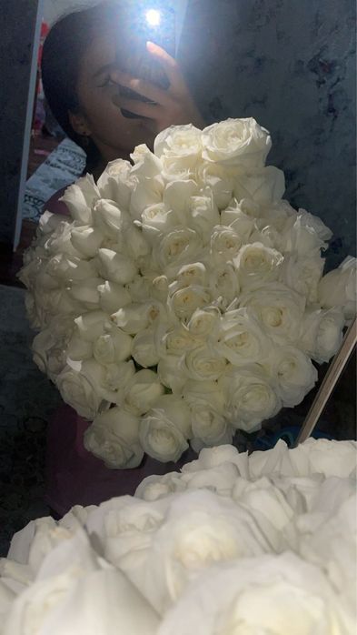 Цветы роза свежий