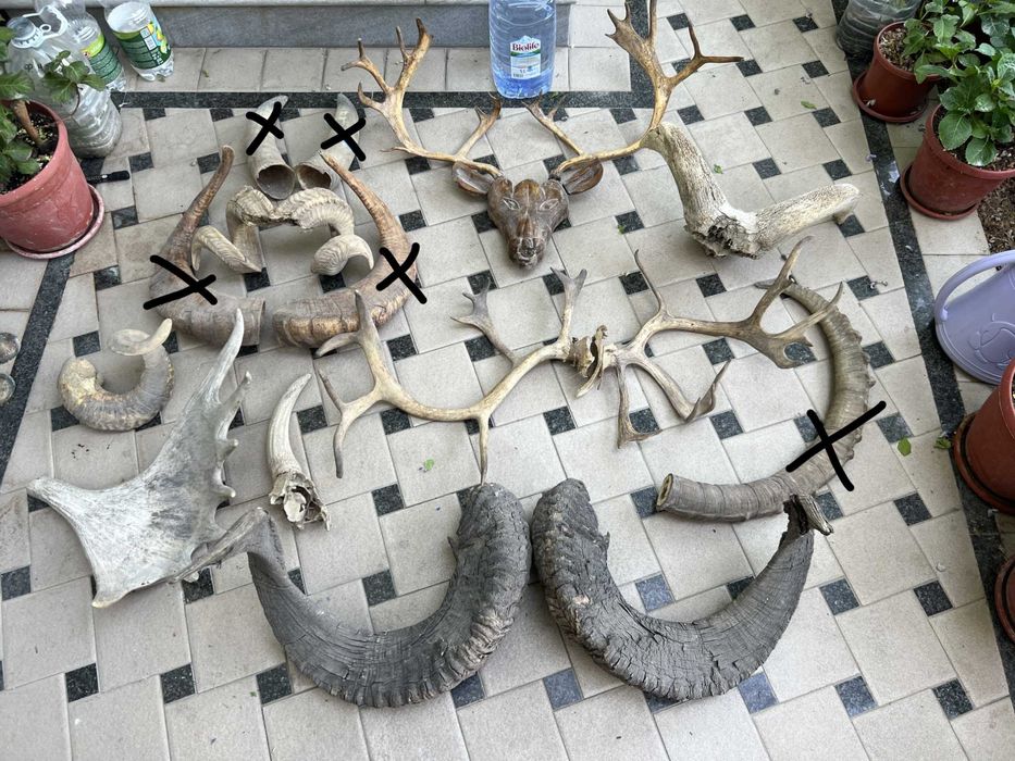 Старинные Предметы Рога Прялки