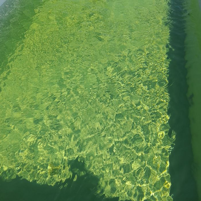 Piscine/jacuzzi intretinere