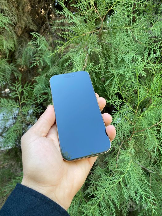 Iphone 16 pro                     .