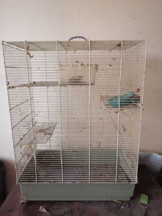 Colivie sau cușcă mare