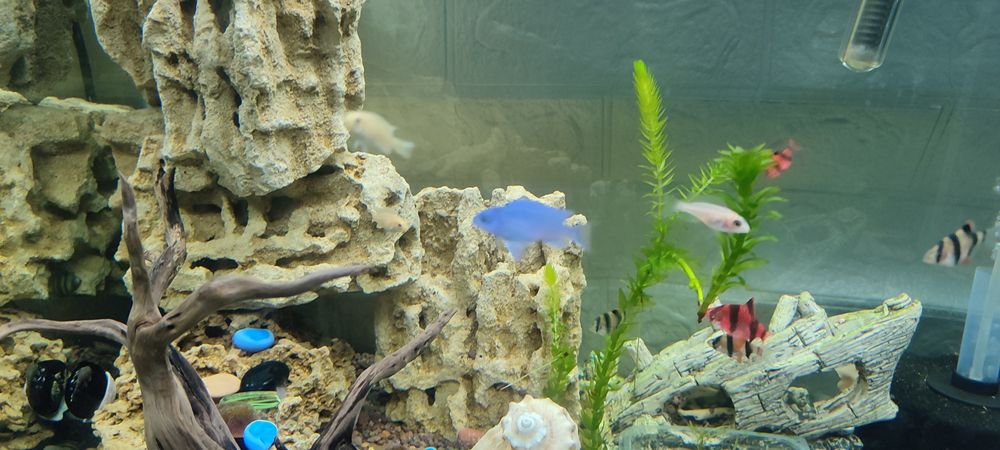 Продам аквариум комплект