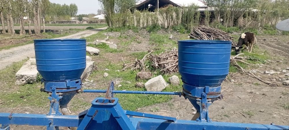 sust 2 dona holati yaxshi