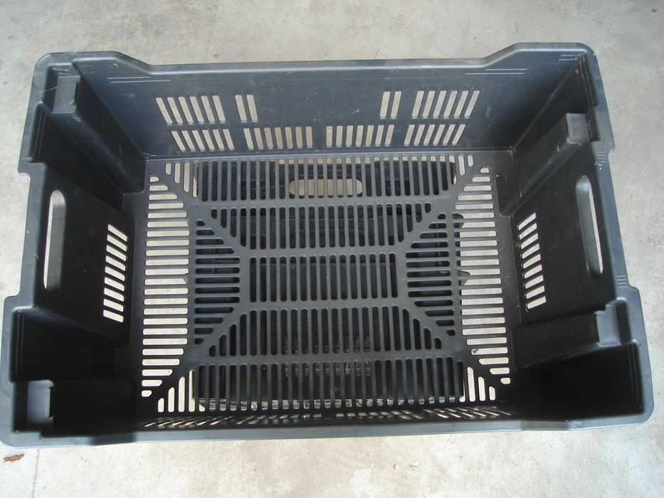 lazi fructe diferite dimensiuni